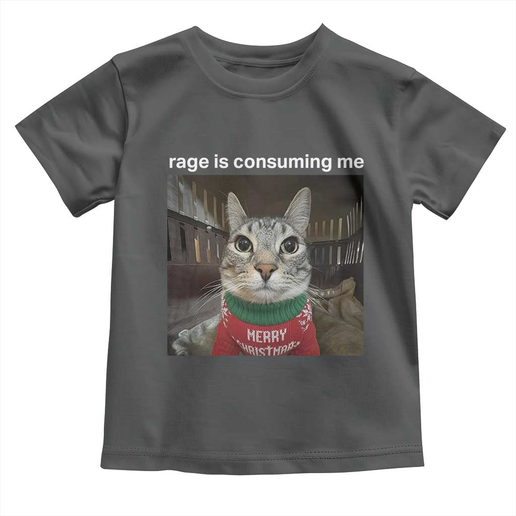 Rage Is Consuming Me Christmas Toddler T Shirt Funny Silly Staring Cat Meme Xmas Ugly Sweater TS11 Dark Heather Print Your Wear