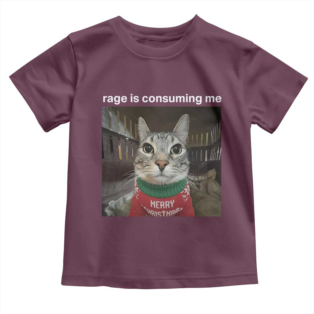 Rage Is Consuming Me Christmas Toddler T Shirt Funny Silly Staring Cat Meme Xmas Ugly Sweater TS11 Maroon Print Your Wear