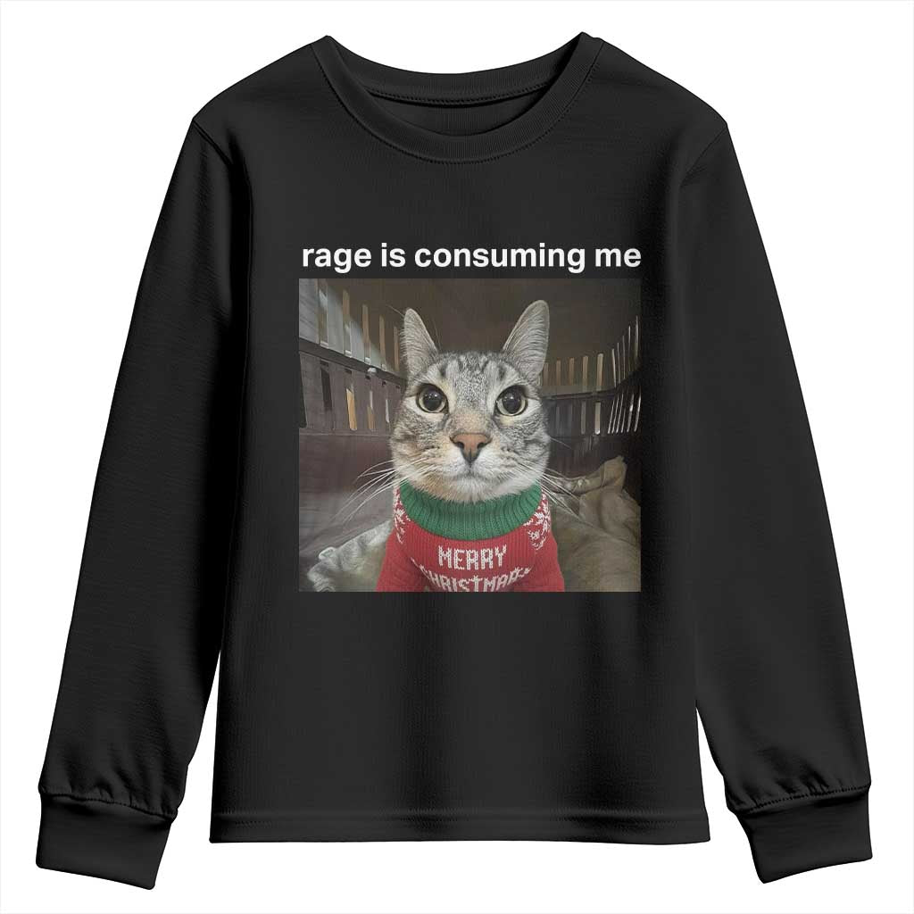 Rage Is Consuming Me Christmas Youth Sweatshirt Funny Silly Staring Cat Meme Xmas Ugly Sweater TS11 Black Print Your Wear