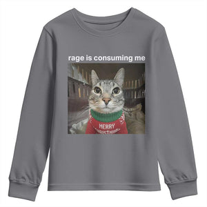 Rage Is Consuming Me Christmas Youth Sweatshirt Funny Silly Staring Cat Meme Xmas Ugly Sweater TS11 Charcoal Print Your Wear