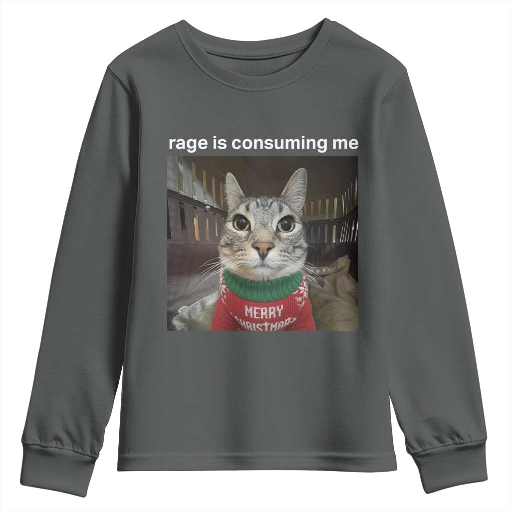 Rage Is Consuming Me Christmas Youth Sweatshirt Funny Silly Staring Cat Meme Xmas Ugly Sweater TS11 Dark Heather Print Your Wear
