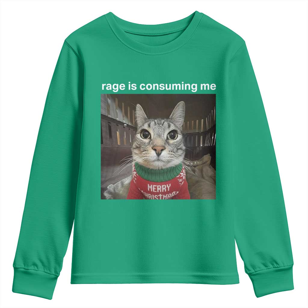 Rage Is Consuming Me Christmas Youth Sweatshirt Funny Silly Staring Cat Meme Xmas Ugly Sweater TS11 Irish Green Print Your Wear