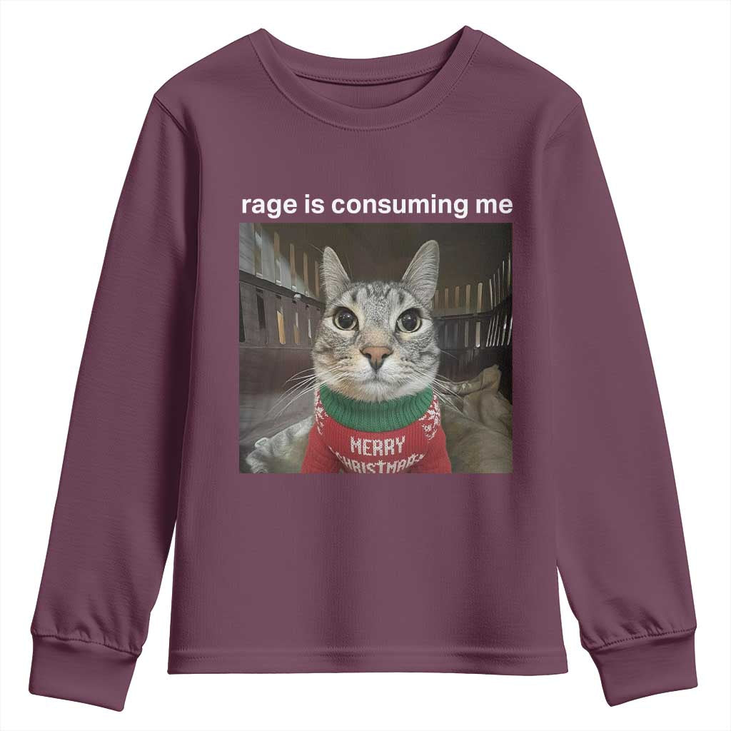 Rage Is Consuming Me Christmas Youth Sweatshirt Funny Silly Staring Cat Meme Xmas Ugly Sweater TS11 Maroon Print Your Wear
