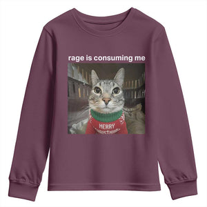 Rage Is Consuming Me Christmas Youth Sweatshirt Funny Silly Staring Cat Meme Xmas Ugly Sweater TS11 Maroon Print Your Wear