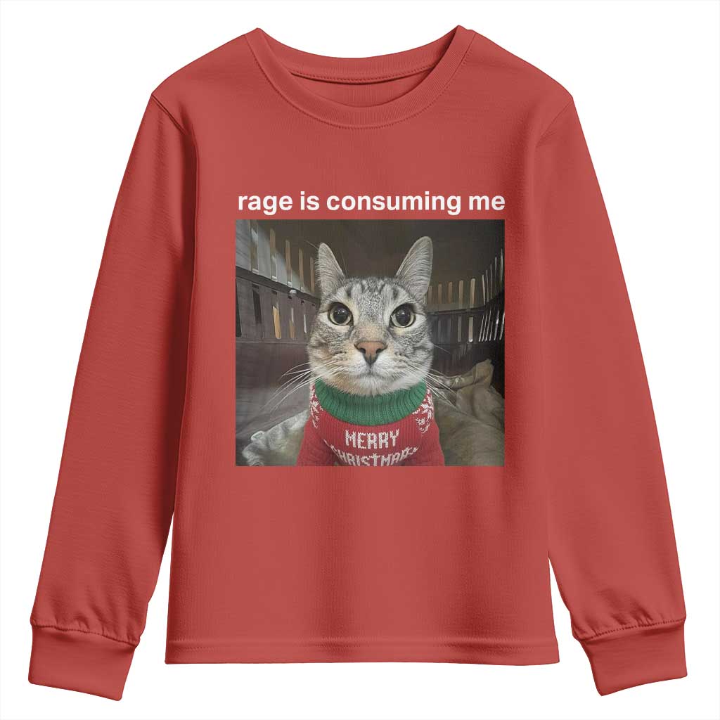 Rage Is Consuming Me Christmas Youth Sweatshirt Funny Silly Staring Cat Meme Xmas Ugly Sweater TS11 Red Print Your Wear