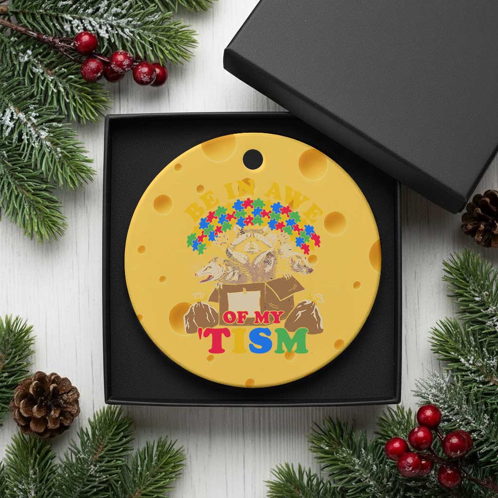 Funny Autism Awareness Ceramic Ornament Be In Awe Of My 'Tism Autistic Raccoon Opossum Skunk TS11 1pc Yellow Cheese Print Your Wear