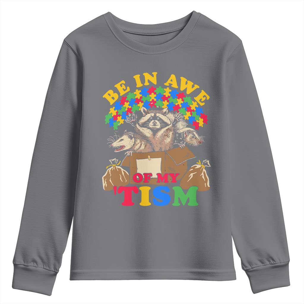 Funny Autism Awareness Youth Sweatshirt Be In Awe Of My 'Tism Autistic Raccoon Opossum Skunk TS11 Charcoal Print Your Wear