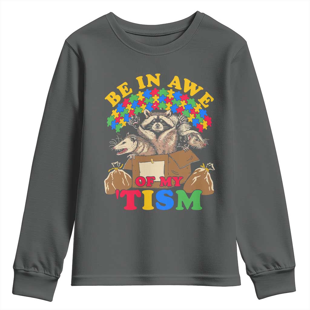 Funny Autism Awareness Youth Sweatshirt Be In Awe Of My 'Tism Autistic Raccoon Opossum Skunk TS11 Dark Heather Print Your Wear