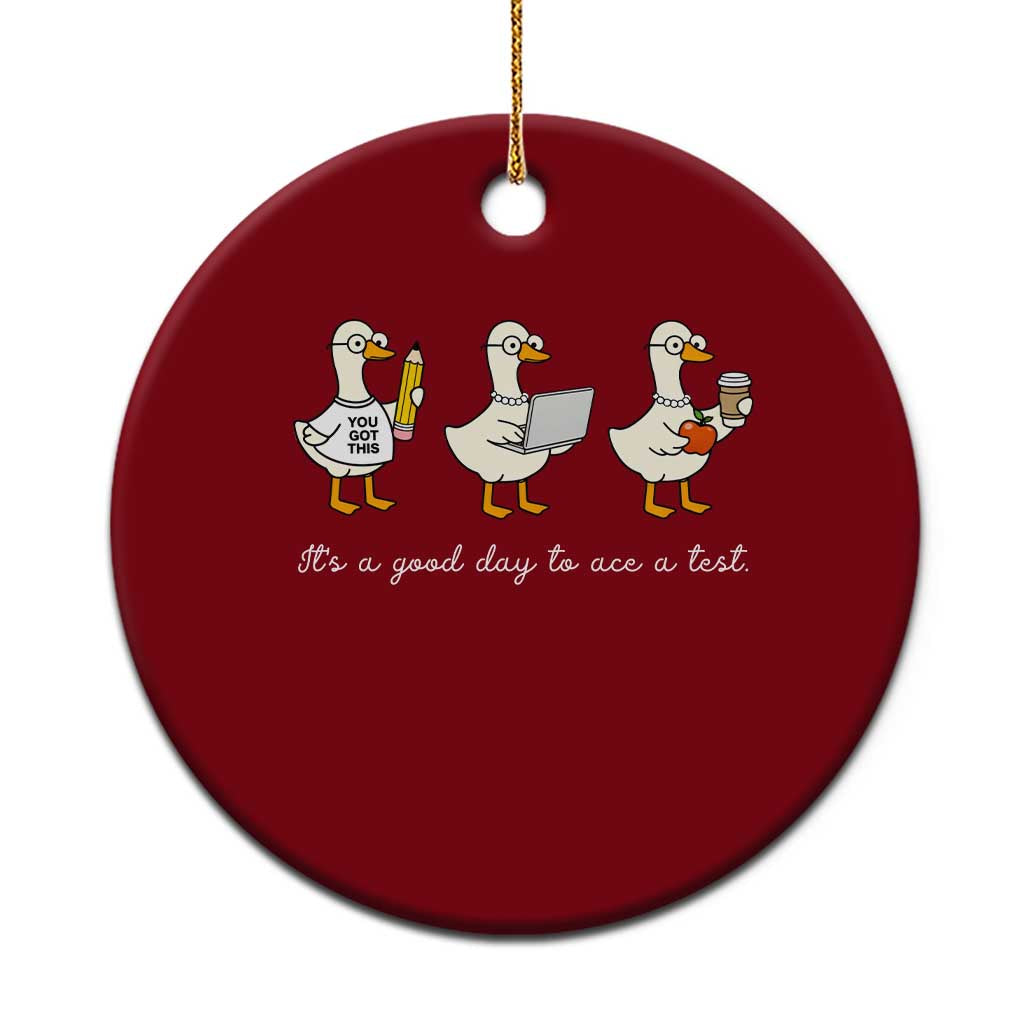Silly Goose Test Day Ceramic Ornament It's A Good Day To Ace A Test Teacher Students TS11 1pc Red Print Your Wear