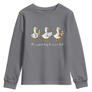 Silly Goose Test Day Youth Sweatshirt It's A Good Day To Ace A Test Teacher Students TS11 Charcoal Print Your Wear