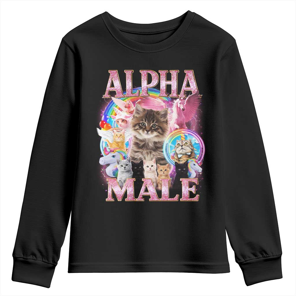 Alpha Male Cat Youth Sweatshirt Funny Rainbow Kitten Meme Bootleg TS11 Black Print Your Wear