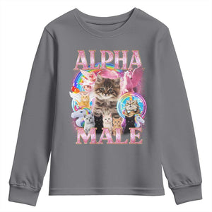 Alpha Male Cat Youth Sweatshirt Funny Rainbow Kitten Meme Bootleg TS11 Charcoal Print Your Wear