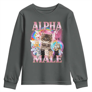 Alpha Male Cat Youth Sweatshirt Funny Rainbow Kitten Meme Bootleg TS11 Dark Heather Print Your Wear