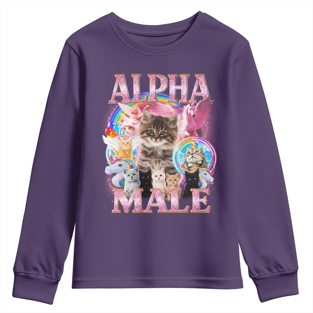 Alpha Male Cat Youth Sweatshirt Funny Rainbow Kitten Meme Bootleg TS11 Purple Print Your Wear
