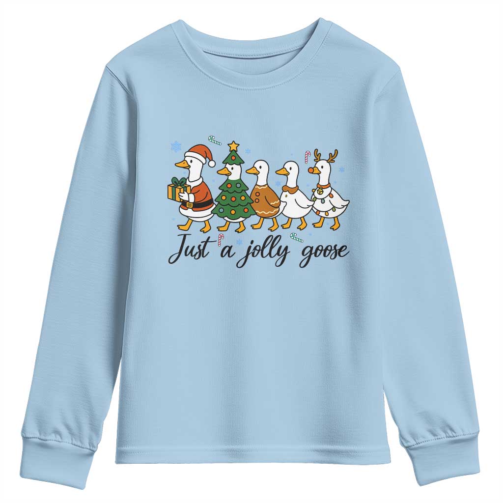 Funny Christmas Silly Goose Youth Sweatshirt Just A Jolly Goose Xmas Poultry Animal Humor TS11 Light Blue Print Your Wear