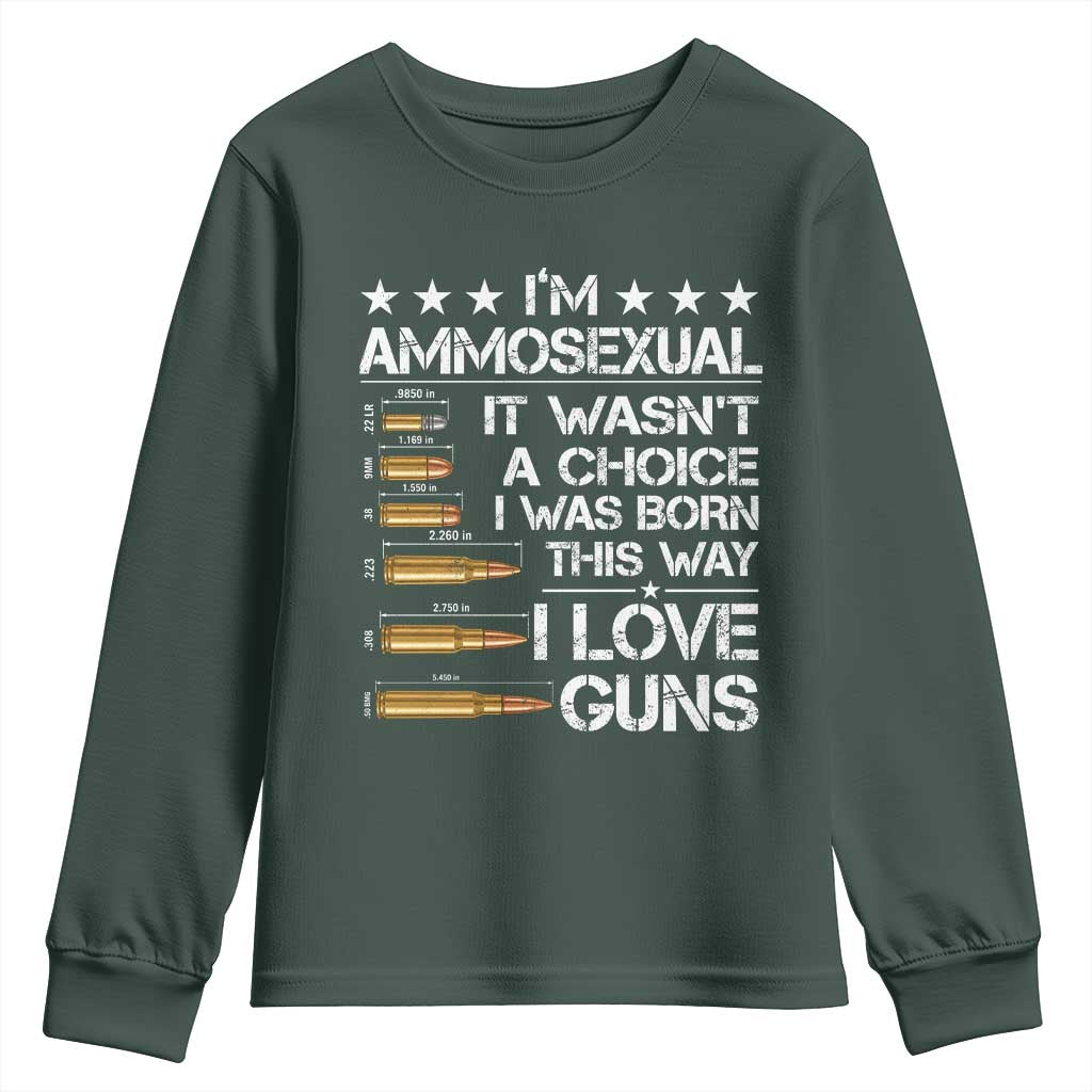 I'm Ammosexual It Wasn't A Choice 2nd Amendment Gun Lovers Youth Sweatshirt