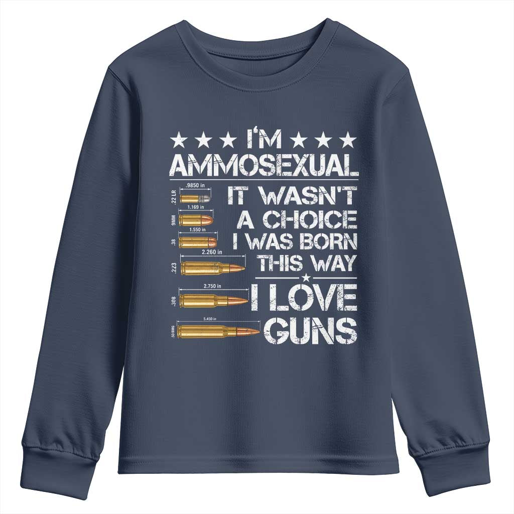 I'm Ammosexual It Wasn't A Choice 2nd Amendment Gun Lovers Youth Sweatshirt