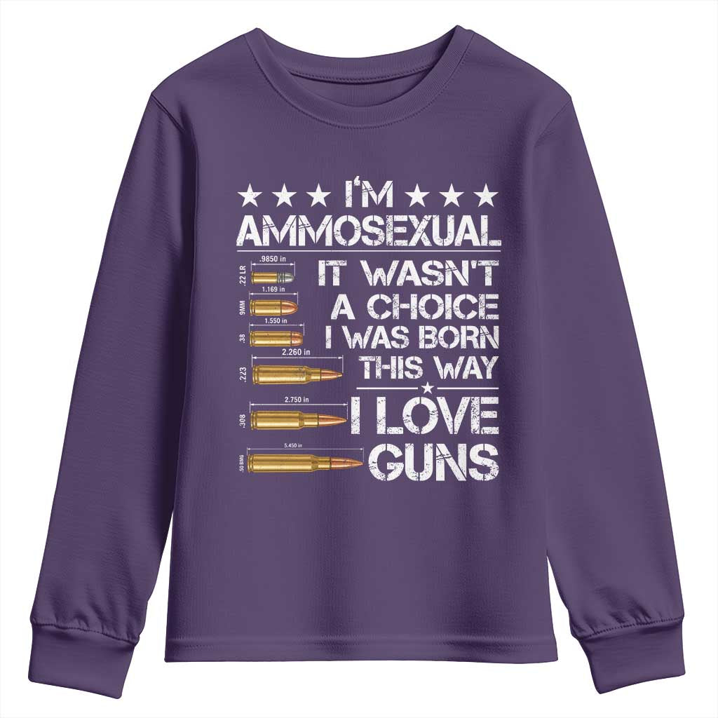 I'm Ammosexual It Wasn't A Choice 2nd Amendment Gun Lovers Youth Sweatshirt