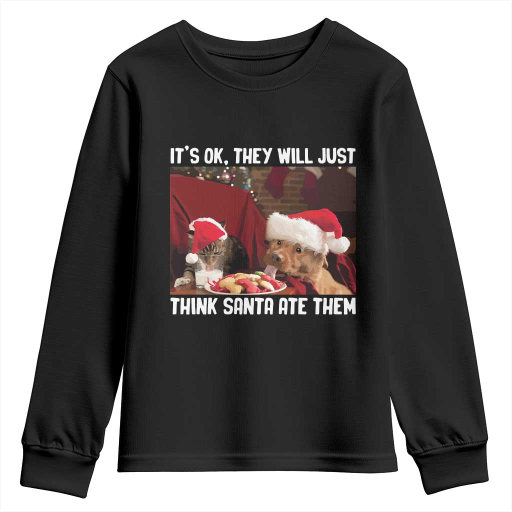 Funny Christmas Dog And Cat Youth Sweatshirt It's Ok They Will Just Think Santa Ate Them TS11 Black Print Your Wear
