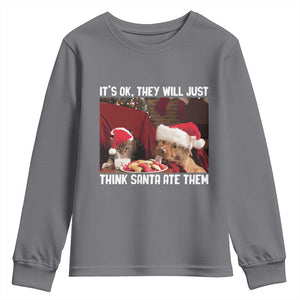 Funny Christmas Dog And Cat Youth Sweatshirt It's Ok They Will Just Think Santa Ate Them TS11 Charcoal Print Your Wear