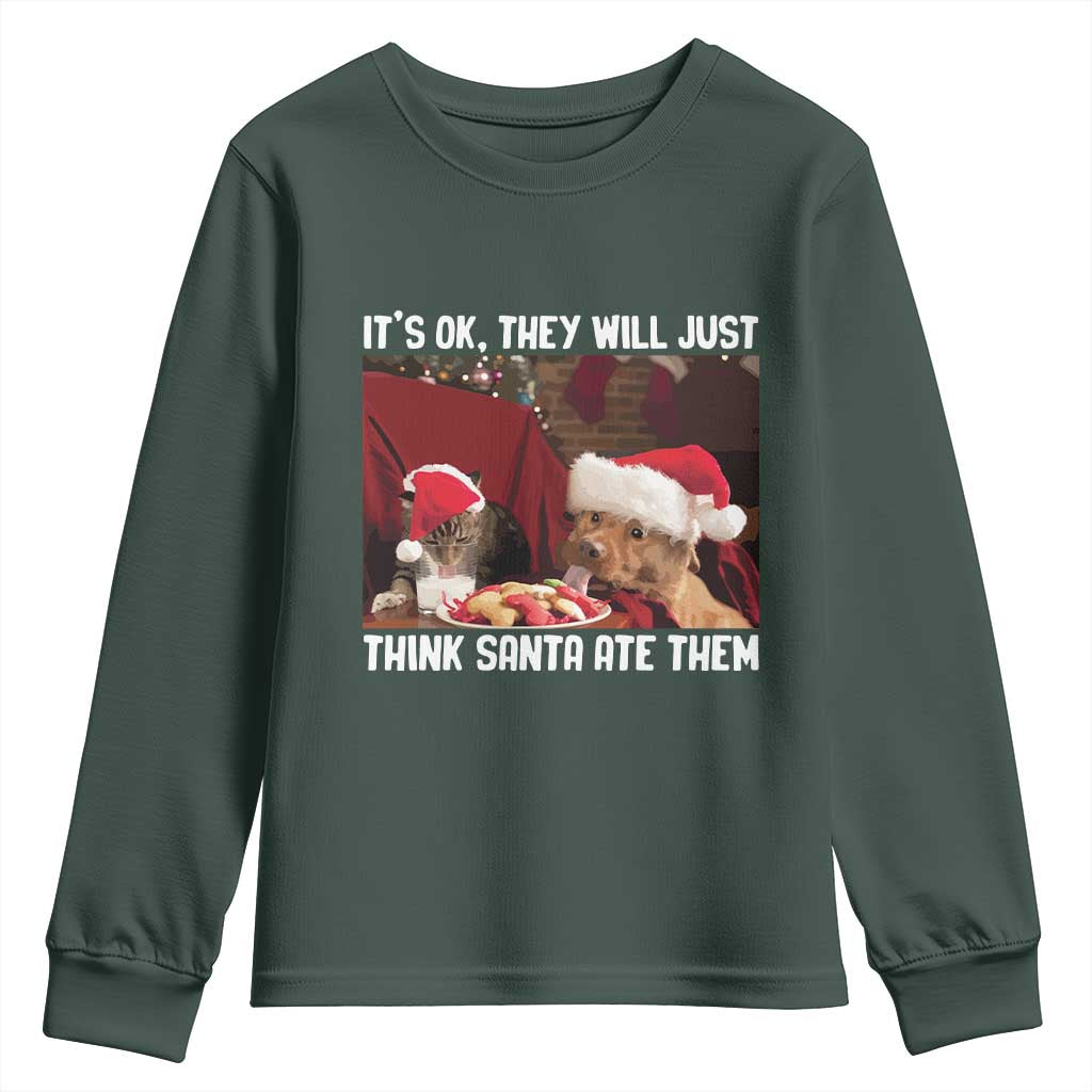 Funny Christmas Dog And Cat Youth Sweatshirt It's Ok They Will Just Think Santa Ate Them TS11 Dark Forest Green Print Your Wear