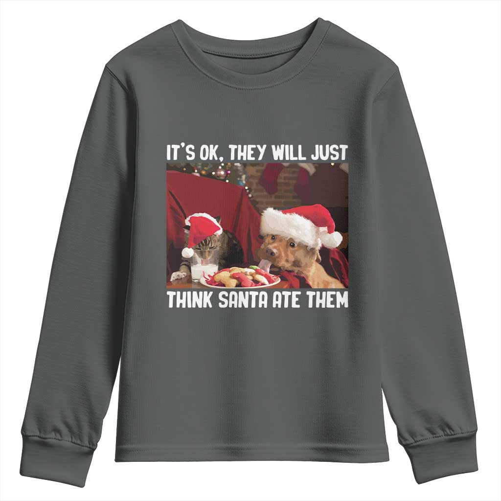 Funny Christmas Dog And Cat Youth Sweatshirt It's Ok They Will Just Think Santa Ate Them TS11 Dark Heather Print Your Wear