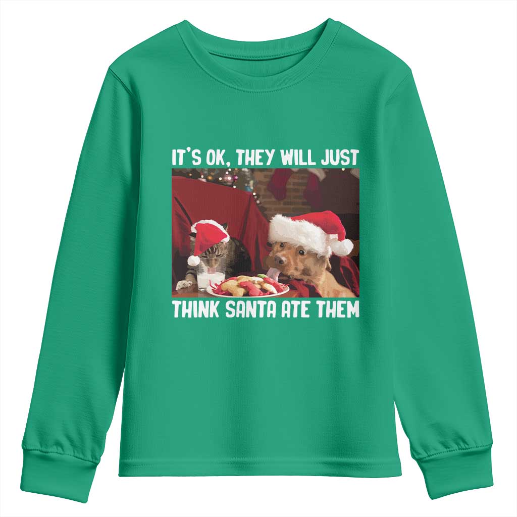 Funny Christmas Dog And Cat Youth Sweatshirt It's Ok They Will Just Think Santa Ate Them TS11 Irish Green Print Your Wear