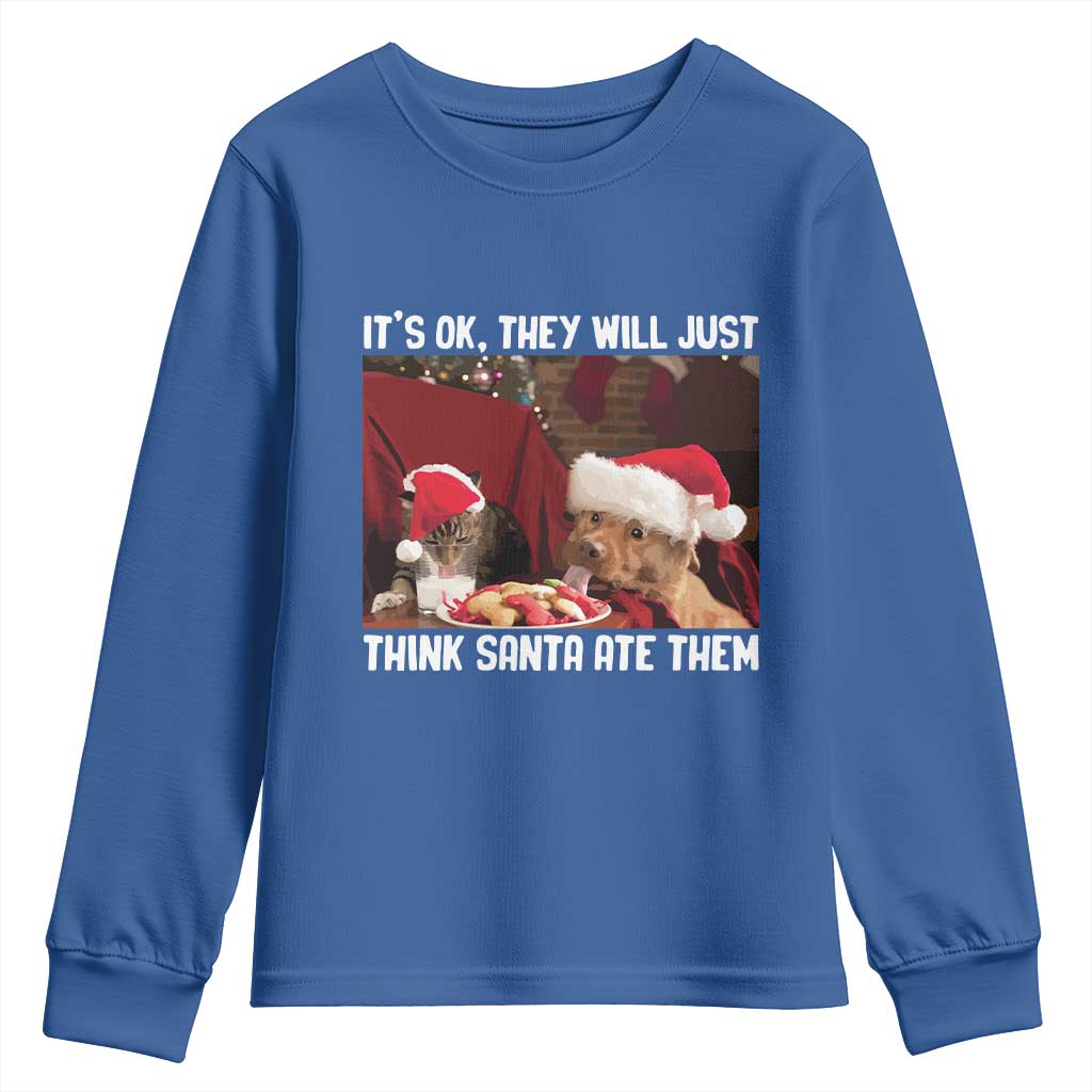 Funny Christmas Dog And Cat Youth Sweatshirt It's Ok They Will Just Think Santa Ate Them TS11 Royal Blue Print Your Wear