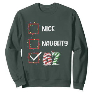 Funny Nice Naughty 67 Sweatshirt Christmas Six Seven Meme Brainrot TS11 Dark Forest Green Print Your Wear