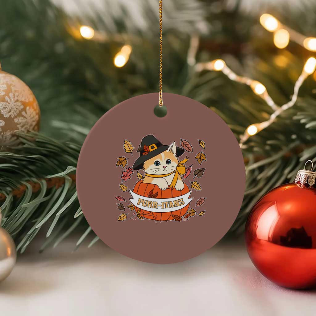 Funny Thanksgiving Cat Lover Ceramic Ornament Purritans Pilgrim Puritans Hat TS11 1pc Mocha Print Your Wear