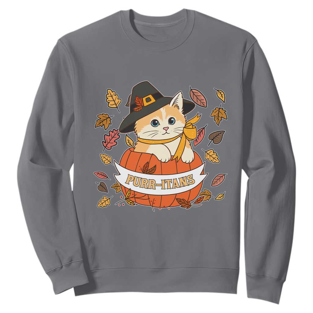 Funny Thanksgiving Cat Lover Sweatshirt Purritans Pilgrim Puritans Hat TS11 Charcoal Print Your Wear
