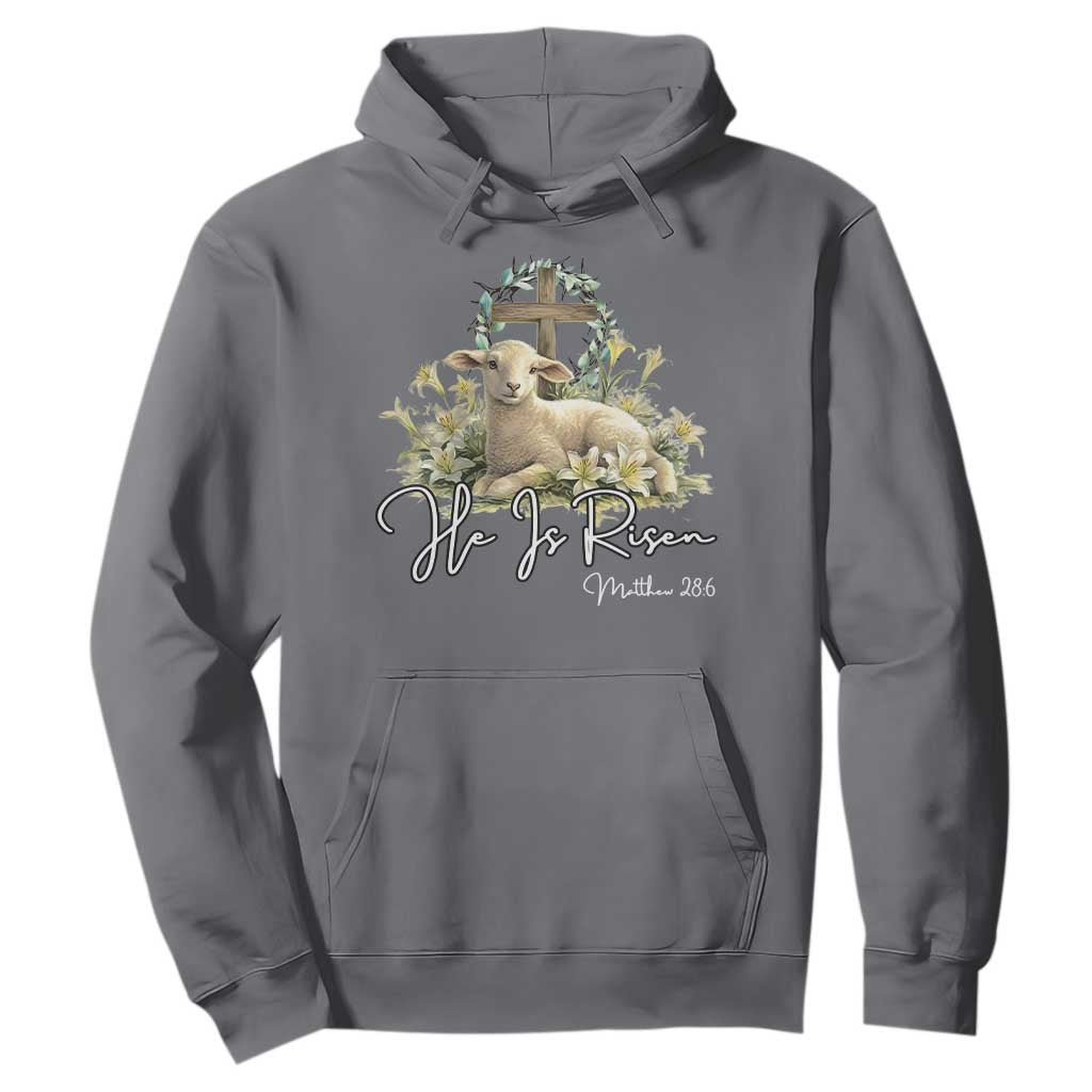 He Is Risen Hoodie Christian Religious Easter Day Bible Verse Sheep TS11 Charcoal Print Your Wear