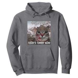 Funny I Survived Todays Tummy Ache Hoodie War Cat Meme TS11 Charcoal Print Your Wear