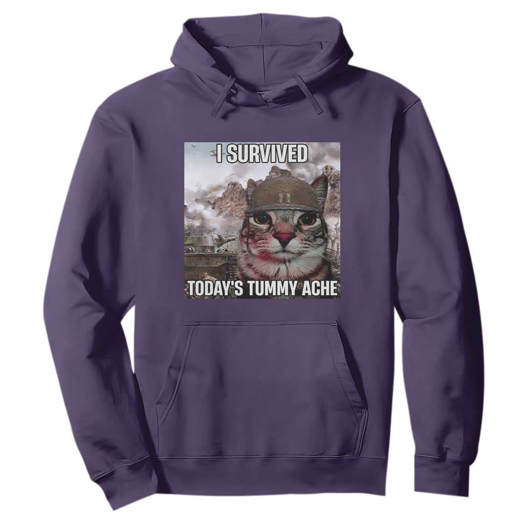 Funny I Survived Todays Tummy Ache Hoodie War Cat Meme TS11 Purple Print Your Wear