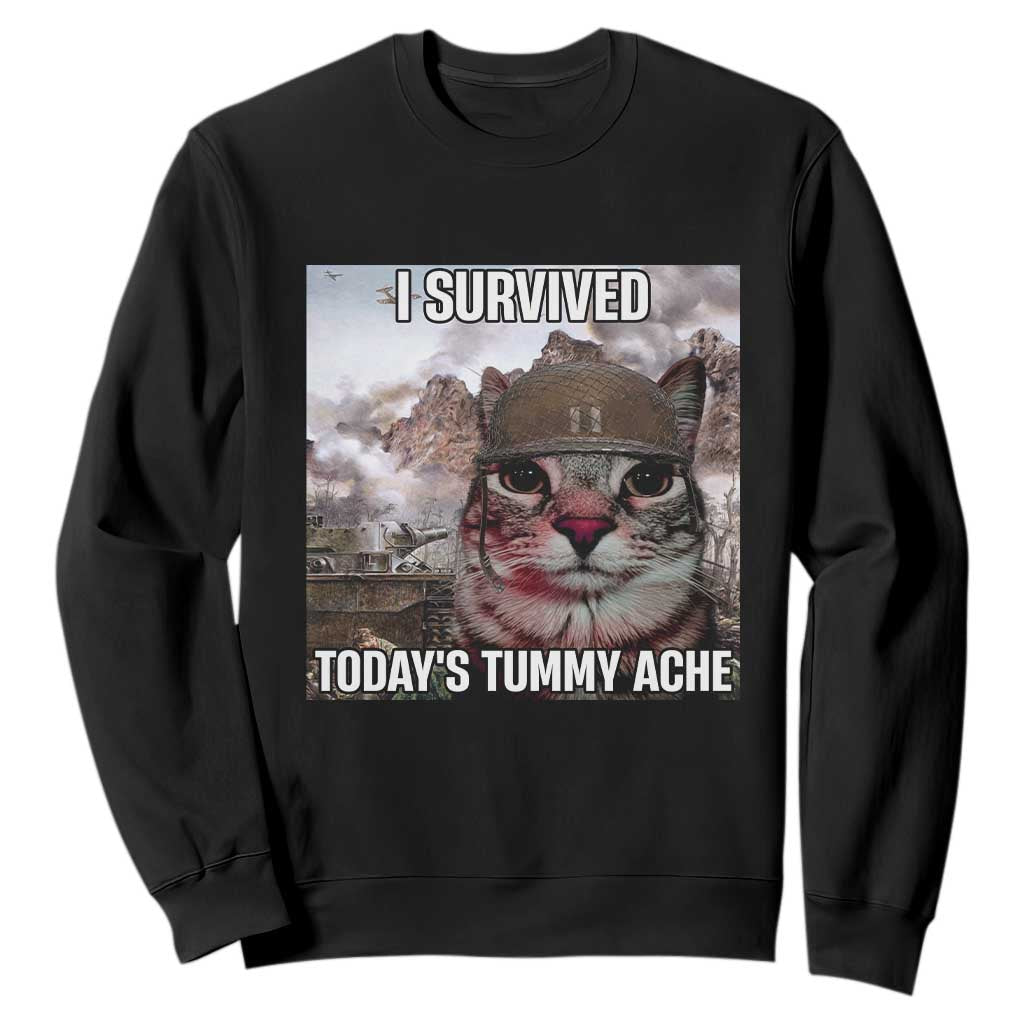 Funny I Survived Todays Tummy Ache Sweatshirt War Cat Meme TS11 Black Print Your Wear