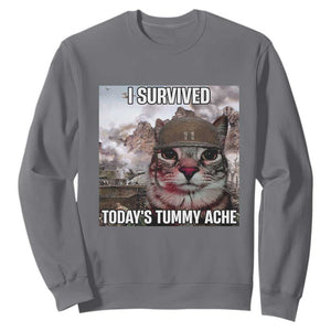 Funny I Survived Todays Tummy Ache Sweatshirt War Cat Meme TS11 Charcoal Print Your Wear