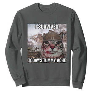 Funny I Survived Todays Tummy Ache Sweatshirt War Cat Meme TS11 Dark Heather Print Your Wear