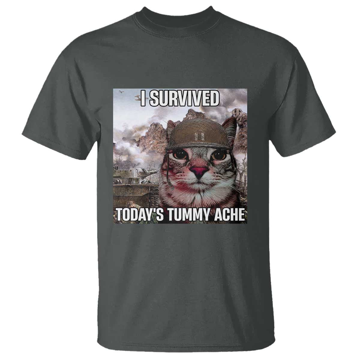Funny I Survived Todays Tummy Ache T Shirt War Cat Meme TS11 Dark Heather Print Your Wear