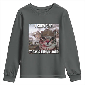 Funny I Survived Todays Tummy Ache Youth Sweatshirt War Cat Meme TS11 Dark Heather Print Your Wear