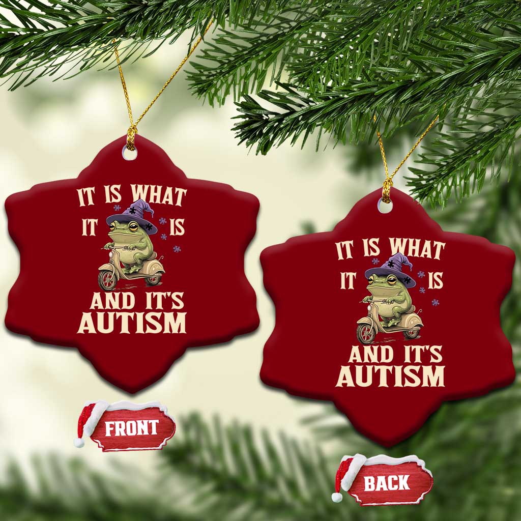 Funny It Is What It Is And It's Autism Ceramic Ornament Meme Autism Awareness Frog TS11 Print Your Wear