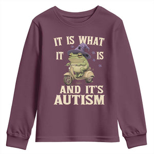 Funny It Is What It Is And It's Autism Youth Sweatshirt Meme Autism Awareness Frog TS11 Maroon Print Your Wear