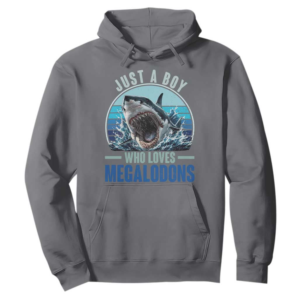 Just A Boy Who Loves Megalodons Hoodie Megalodon Shark Lover Retro Graphic
