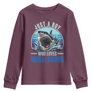 Just A Boy Who Loves Megalodons Youth Sweatshirt Megalodon Shark Lover Retro Graphic