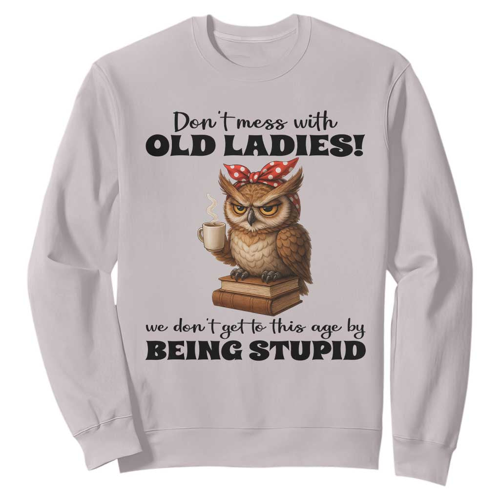 Dont Mess With Old Ladies We Dont Get To This Age By Being Stupid Sweatshirt Cute Owl TS11 Ice Gray Print Your Wear