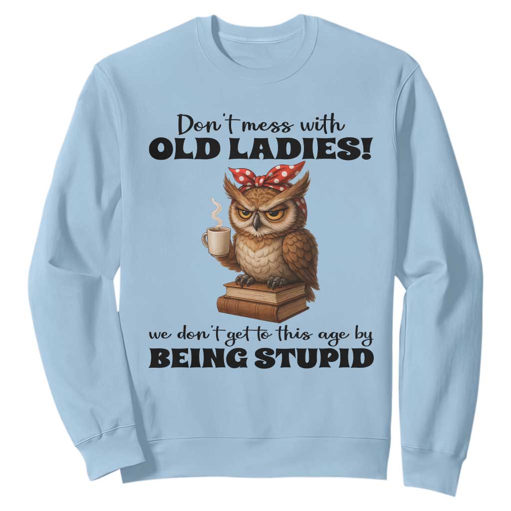 Dont Mess With Old Ladies We Dont Get To This Age By Being Stupid Sweatshirt Cute Owl TS11 Light Blue Print Your Wear