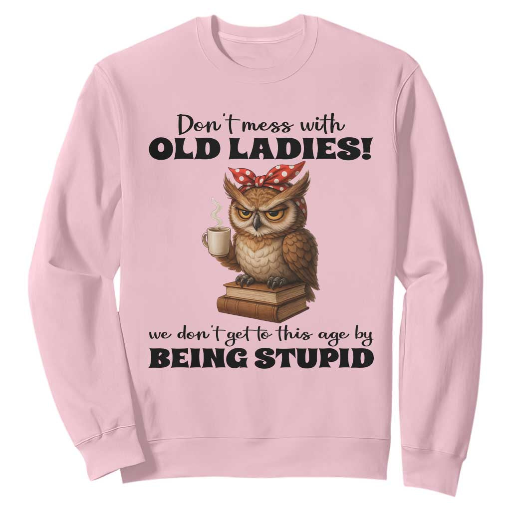 Dont Mess With Old Ladies We Dont Get To This Age By Being Stupid Sweatshirt Cute Owl TS11 Light Pink Print Your Wear