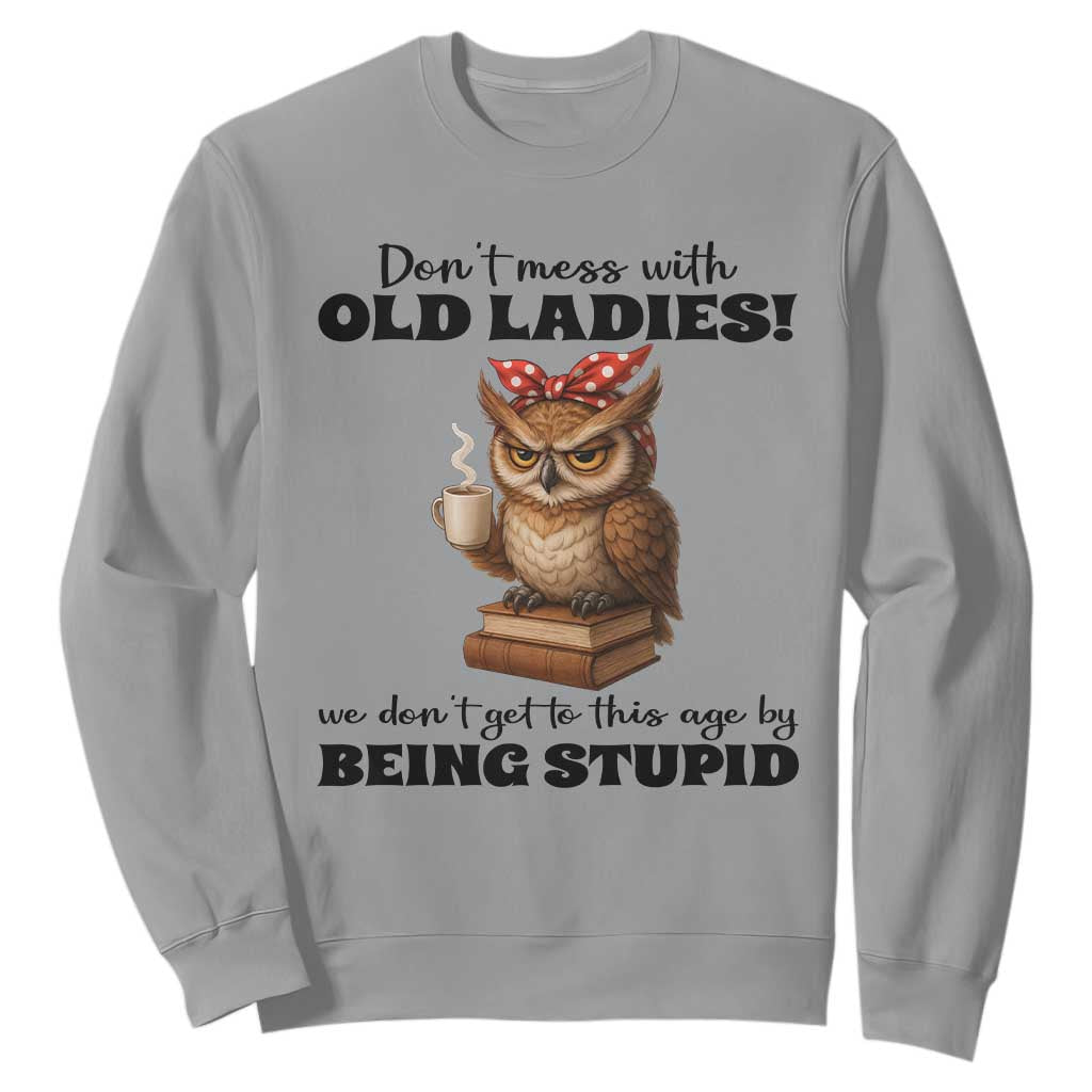 Dont Mess With Old Ladies We Dont Get To This Age By Being Stupid Sweatshirt Cute Owl TS11 Sport Gray Print Your Wear