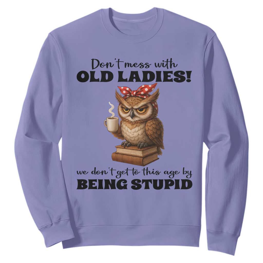 Dont Mess With Old Ladies We Dont Get To This Age By Being Stupid Sweatshirt Cute Owl TS11 Violet Print Your Wear