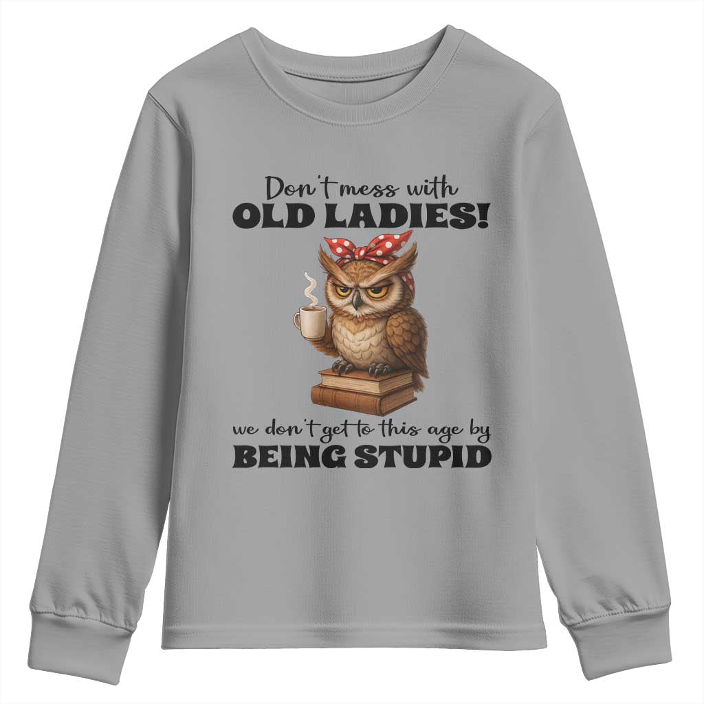 Dont Mess With Old Ladies We Dont Get To This Age By Being Stupid Youth Sweatshirt Cute Owl TS11 Sport Gray Print Your Wear