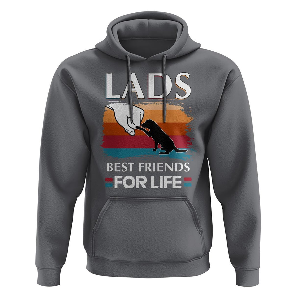 Labrador Lover Hoodie Lab Best Friends For Life Vintage Retro Pet Lover TS11 Charcoal Print Your Wear